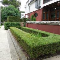 DSCN0295